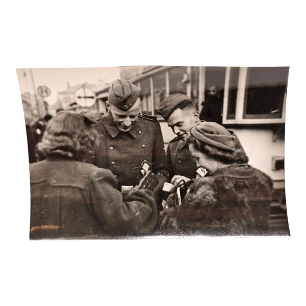 Unpublished Dutch Waffen SS Volunteer Legion - Graz Training Center 1942 Photograph