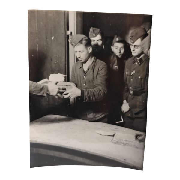 Unpublished Dutch Waffen SS Volunteer Legion - Graz Training Center 1942 Photograph