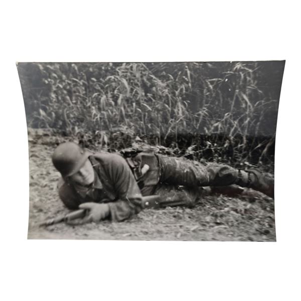 Unpublished Dutch Waffen SS Volunteer Legion - Graz Training Center 1942 Photograph