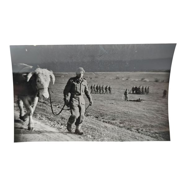 Unpublished Dutch Waffen SS Volunteer Legion - Graz Training Center 1942 Photograph