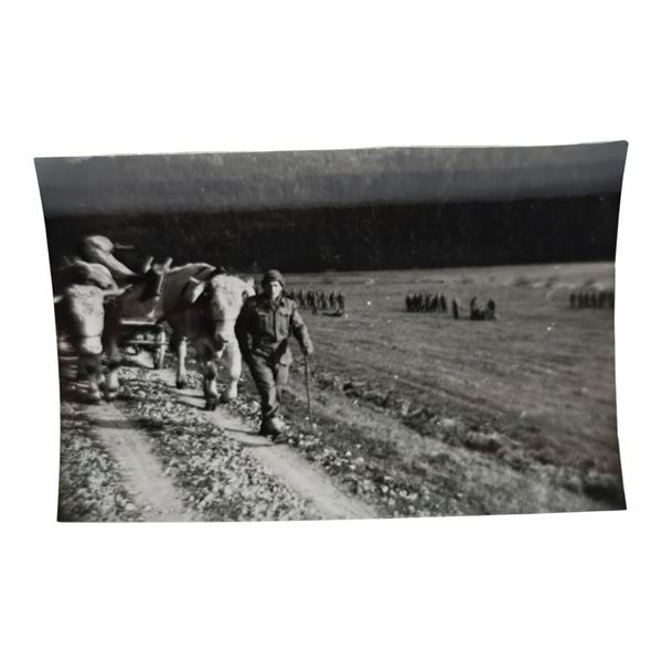 Unpublished Dutch Waffen SS Volunteer Legion - Graz Training Center 1942 Photograph