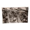Unpublished Dutch Waffen SS Volunteer Legion - Avegoor Training Center 1943 Photograph
