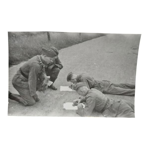 Unpublished Dutch Waffen SS Volunteer Legion - Avegoor Training Center 1943 Photograph