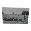 Unpublished Dutch Waffen SS Volunteer Legion - Avegoor Training Center 1943 Photograph