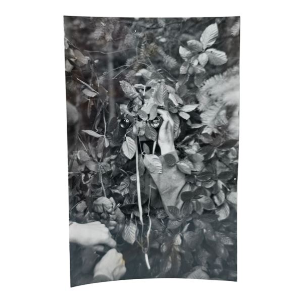 Unpublished Dutch Waffen SS Volunteer Legion - Avegoor Training Center 1943 Photograph