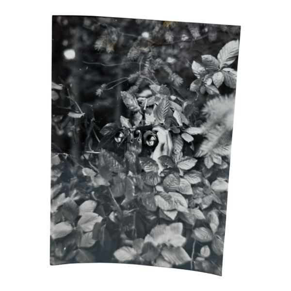 Unpublished Dutch Waffen SS Volunteer Legion - Avegoor Training Center 1943 Photograph