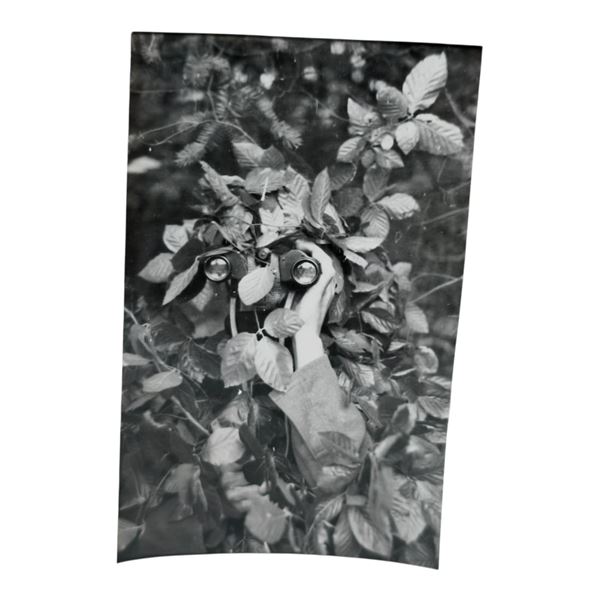 Unpublished Dutch Waffen SS Volunteer Legion - Avegoor Training Center 1943 Photograph