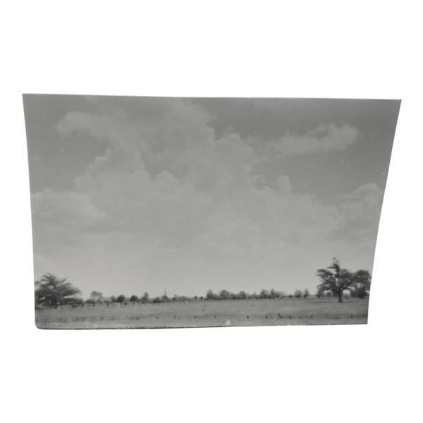 Unpublished Dutch Waffen SS Volunteer Legion - Avegoor Training Center 1943 Photograph