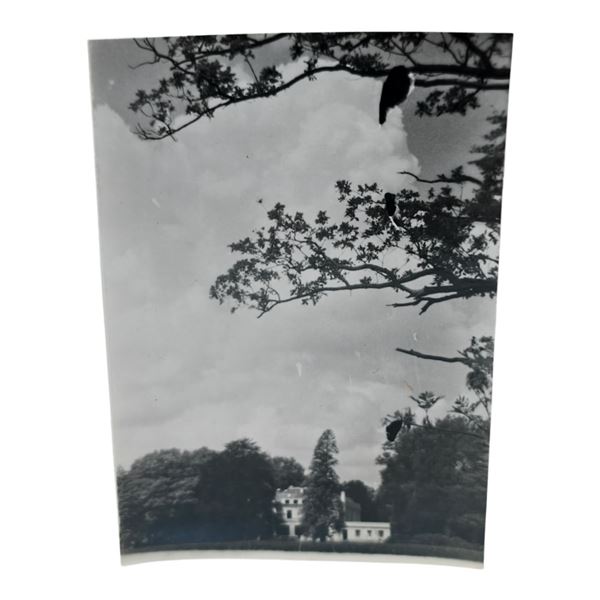 Unpublished Dutch Waffen SS Volunteer Legion - Avegoor Training Center 1943 Photograph