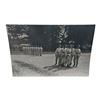 Unpublished Dutch Waffen SS Volunteer Legion - Avegoor Training Center 1943 Photograph