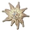Image 1 : Third Reich Nazi Edelweiss Badge Pin