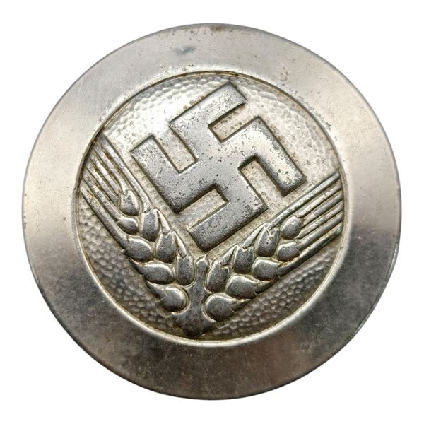 Third Reich Nazi RADwJ Brooch