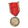 Image 2 : German WWII Anschluss Medal