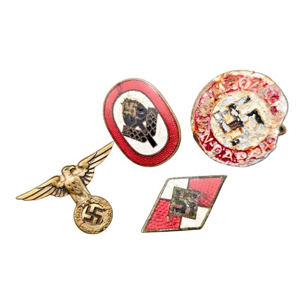 Third Reich Nazi Assorted Badge and Pin Set