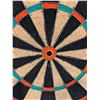 Image 2 : Dart Board Sportcraft
