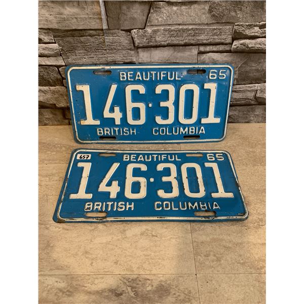 Lot of 2 Vintage License Plates - Beautiful British Columbia
