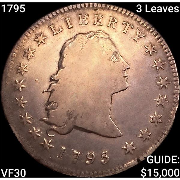 1795 3 Leaves Flowing Hair Dollar
