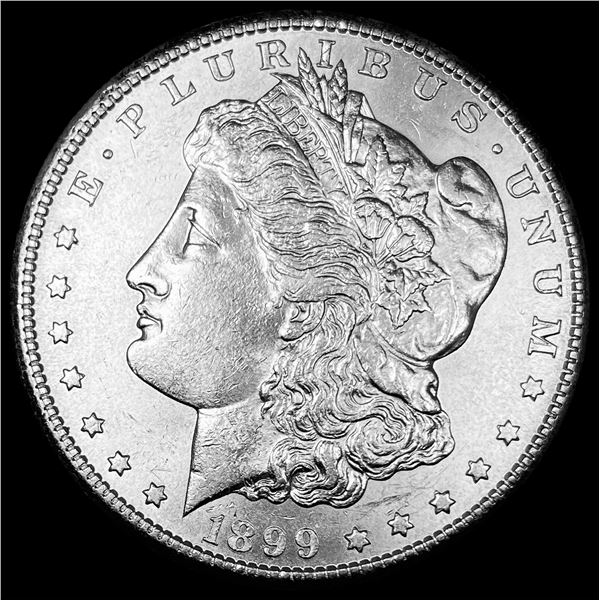 1899 Morgan Silver Dollar UNCIRCULATED