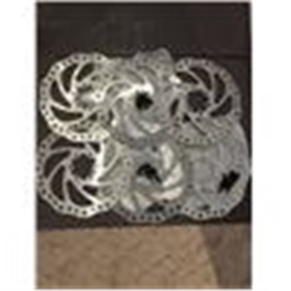 bicycle disc brake rotors with mounting screws New Set of 6