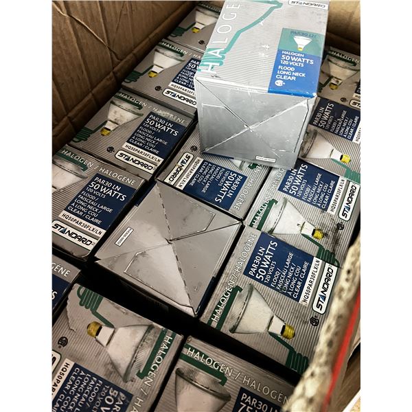 Halogen Flood Standard bulbs lot