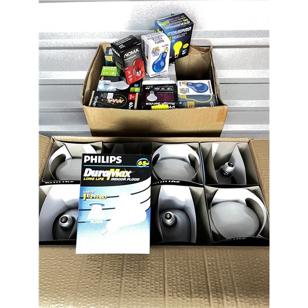 Lot of various light bulbs