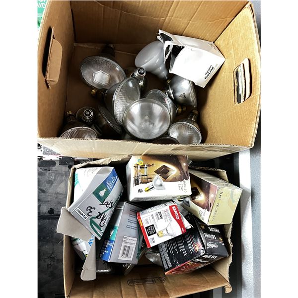 Various light bulbs lot