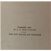 Image 2 : The Boy Allies at Verdun 1917 Book Collectible item