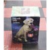 Image 1 : OUTDOOR DOG STATUE W/ SOLAR LANTERN IN BOX