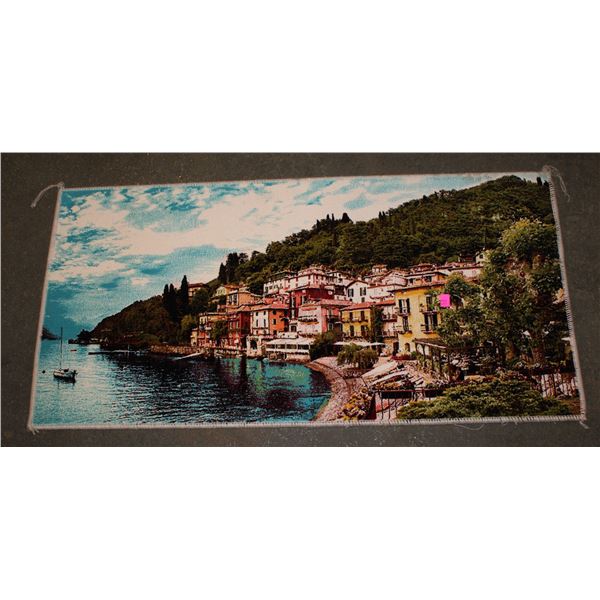 NEW ENTRANCE-WAY RUG 19.5" X 40"