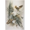 Image 1 : Judi Wild, framed limited edition, hand enhanced giclee print titled " Spirits of the Eagle", pencil