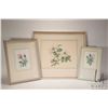 Image 1 : Emily Sartain, two framed original watercolour florals including "Moss Rosebud and Forget-Me-Nots" 6
