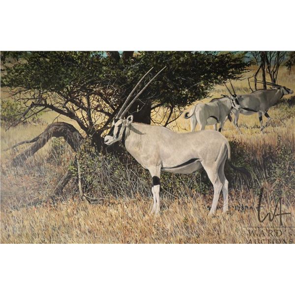 Norman Adams, framed oil on canvas painting titled on verso "Oryx Gazella, Kenya '82", 24" X 36"