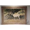 Image 2 : Norman Adams, framed oil on canvas painting titled on verso "Oryx Gazella, Kenya '82", 24" X 36"