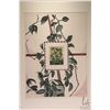 Image 1 : Lorna Lively framed limited edition print "Plant # 3", pencil signed by artist, 2/10, overall dimens