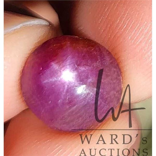 16.81 ct certified Red Star Ruby gemstone, Certificate provided by consignor
