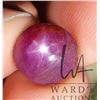 Image 1 : 16.81 ct certified Red Star Ruby gemstone, Certificate provided by consignor