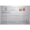 Image 3 : 75.87 ct certified Madeire Citrine gemstone, Certificate provided by consignor
