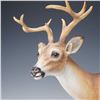 Image 2 : Boehm Porcelain White Tailed Buck Sculpture, Limited Issue + Base