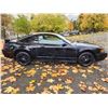 Image 8 : DUNCAN - 2004 FORD MUSTANG, BLACK, 159761 KMS, REAR WHEEL DRIVE. - D191019