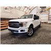 Image 1 : 2019 FORD F150, WHITE, 201737 KMS, 4X4. - DE19639