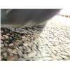 Image 26 : 2014 FORD FOCUS, GREY, 229330 KMS, FRONT WHEEL DRIVE. - B140951