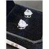 Image 2 : 339 -- 2 CARAT HEART STUDS