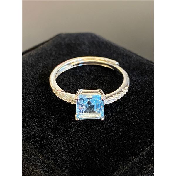 341 -- 1.25 PRINCESS CUT BLUE TOPAZ