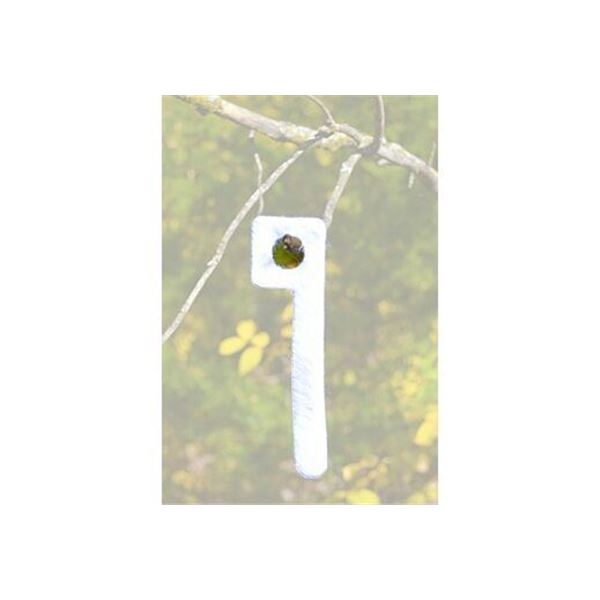 WRC SCENT WICK KEY WICK MAGNUM 2PK