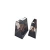 Image 2 : Pair of buffalo bookends