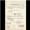 Image 2 : 1970s Nyvatex Oil Stock Certificate Scarce Brown (COI-3421)