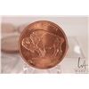 Image 2 : Twenty six .999 fine copper 1 oz. USA buffalo coins including tube containing 20 count and six loose