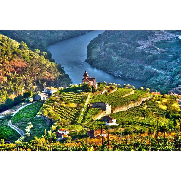 Porto Highlights: Wine, Fado & Coastal Charm for Four