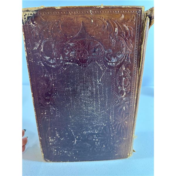 The Polar and Tropical Worlds   1874 Illustrated Edition by Dr. G. Hartwig