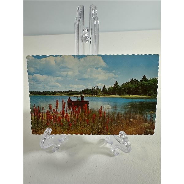 Vintage Postcard   Fishermen on Lake with Wildflowers Scene